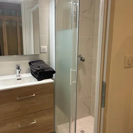 Vu Parc Des Celestins * Виши