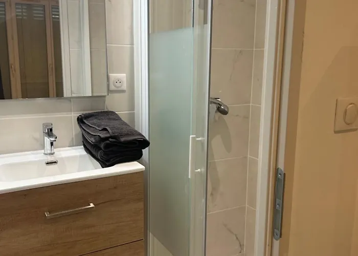 Vu Parc Des Celestins * Vichy